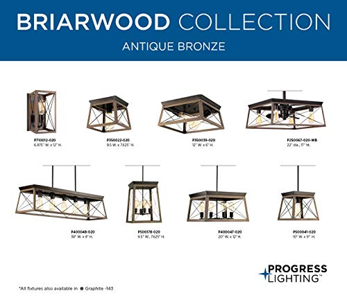 Briarwood Collection 1-Light Coastal Mini-Pendant Light Antique Bronze