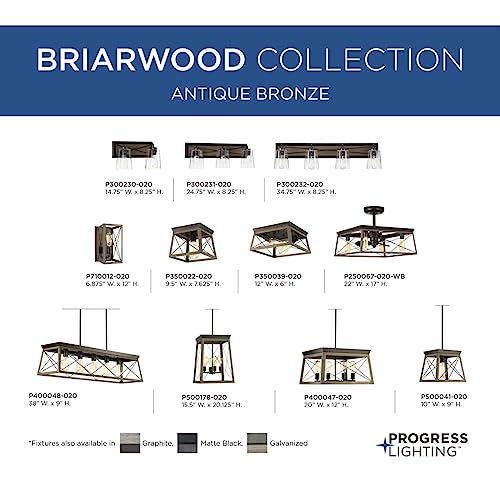Briarwood Collection 1-Light Coastal Mini-Pendant Light Antique Bronze